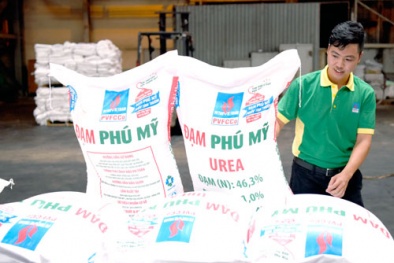 Đề xuất thuế GTGT lên 5%- Tháo gỡ khó khăn cho ngành sản xuất phân bón