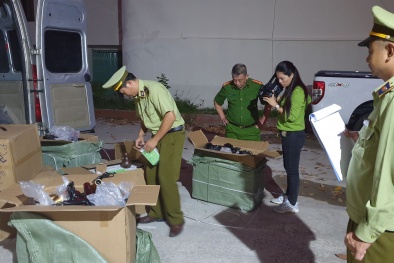 Thị trường sản phẩm máy sấy tóc: ‘Vàng thau lẫn lộn’