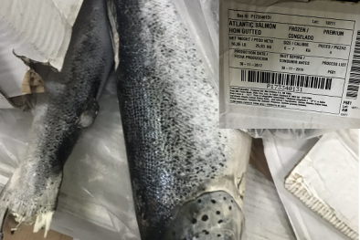 Lượng lớn cá hồi đã hết hạn sử dụng được phát hiện tại Công ty TNHH Mowi Việt Nam