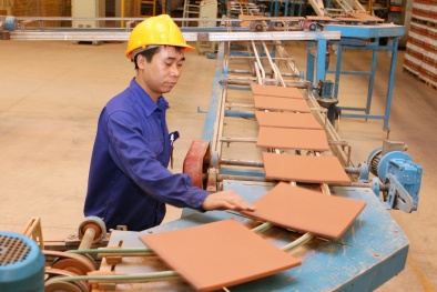 Gỡ vướng mắc trong thực hiện quy chuẩn về sản phẩm, hàng hóa vật liệu xây dựng 