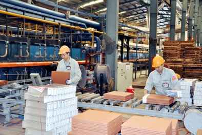 Khoảng cách lớn giữa chính sách và thực tiễn- Mục tiêu 1 triệu doanh nghiệp năm 2020 không đạt