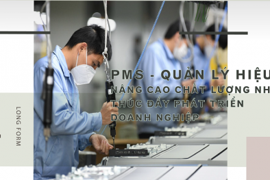 LONGFORM: Công cụ quản lý hiệu quả PMS - nâng cao chất lượng nhân lực, thúc đẩy phát triển DN