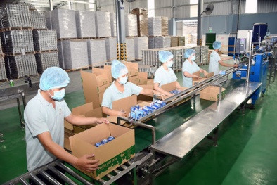 Đề xuất xét tặng Giải Vàng GTCLQG cho 2 doanh nghiệp tỉnh Bến Tre