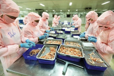 Đáp ứng tiêu chuẩn vệ sinh an toàn thực phẩm nhờ áp dụng công cụ kép