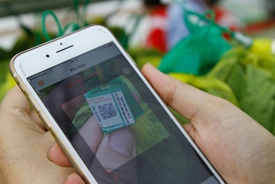 Tầm quan trọng của truy xuất nguồn gốc đối với xuất khẩu hàng hóa sang EU