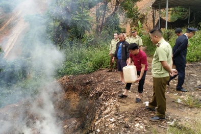 Tiêu hủy thủy sản sấy khô quý hiếm không có trong danh mục được phép kinh doanh 