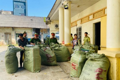 Thu giữ 4.000 sản phẩm nhập lậu
