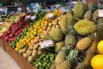 Xuất khẩu hàng hóa sang thị trường Singapore, doanh nghiệp cần nắm rõ điều gì?