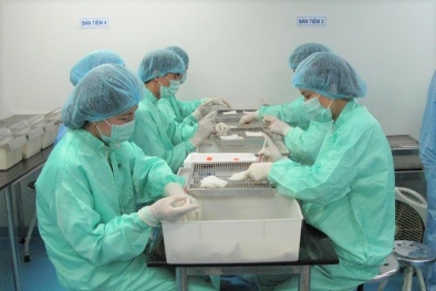 Việt Nam bắt đầu thử nghiệm vaccine COVID-19 trên khỉ