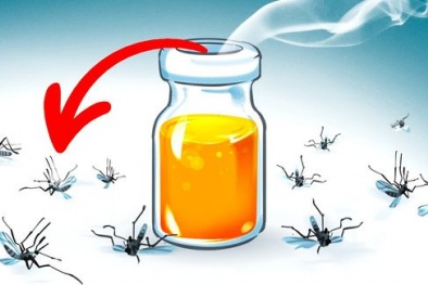 11 sản phẩm có tác dụng đuổi côn trùng hiệu quả