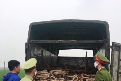 Bắc Giang xử lý hơn 100 vụ vi phạm về hàng hóa 