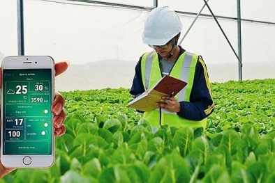 Phát huy vai trò của khoa học công nghệ trong sản xuất nông nghiệp