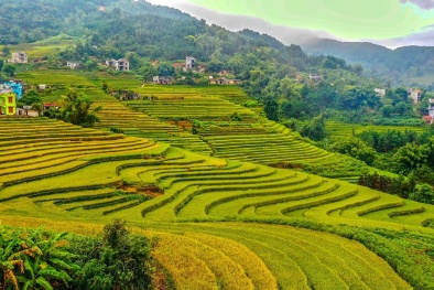 Thỏa sức khám phá Quảng Ninh bằng chặng bay giá siêu hấp dẫn