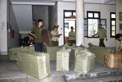 Nguy cơ gây hại sức khỏe từ các loại trà hoa khô không rõ nguồn gốc