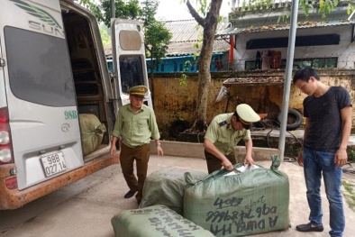 Nhức nhối tình trạng vận chuyển hàng lậu những tháng cuối năm