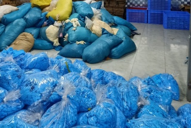Phát hiện kho hàng 'khủng' chứa găng tay cao su y tế kém chất lượng 