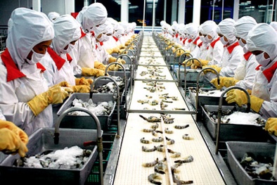 Ai Cập thông báo quy chuẩn kỹ thuật quản lý việc cấp GCN hợp lệ cho thực phẩm xuất khẩu