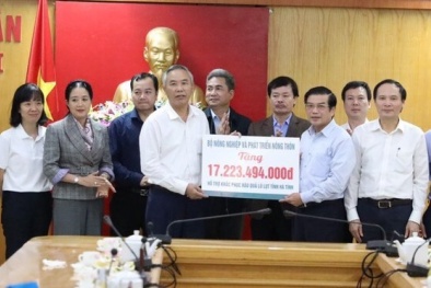 Khôi phục sản xuất nông nghiệp, tạo sinh kế cho đồng bào vùng lũ miền Trung 