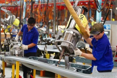 Chống hàng giả, hàng nhái: Cần sự vào cuộc của doanh nghiệp