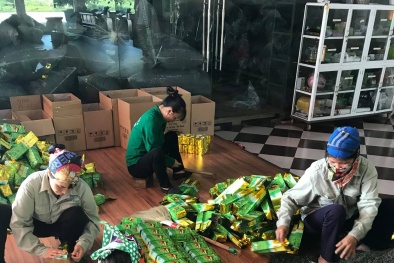 Sản xuất theo quy trình VietGAP - Minh chứng cho chất lượng, hiệu quả