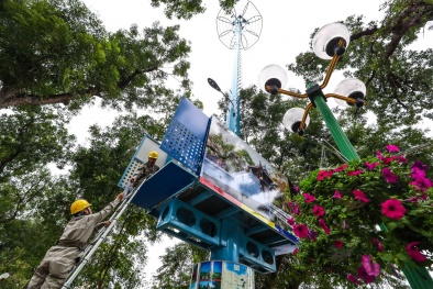 Bộ Thông tin và Truyền thông: Năng suất chất lượng tạo đà cho doanh nghiệp hội nhập 4.0