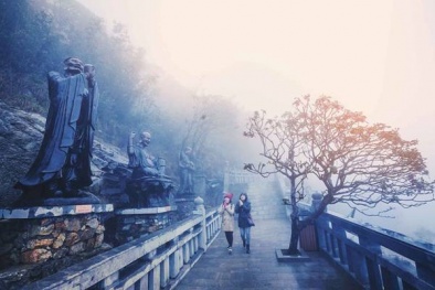 Gần 1500 tăng ni, Phật tử sẽ dự Đại lễ cầu quốc thái dân an trên đỉnh Fansipan