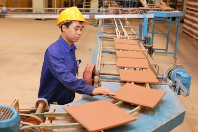 Nâng cao NSCL ngành Xây dựng: Dấu ấn từ Chương trình 712