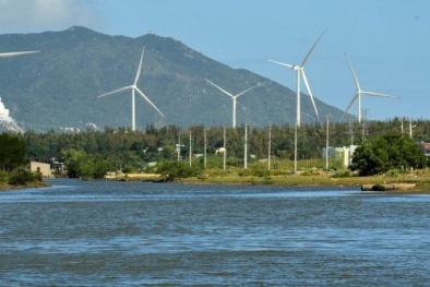 Vừa bị đưa vào diện cảnh báo, Halcom Việt Nam lại bị xử phạt 2 tỷ đồng