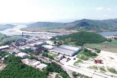 KCP Việt Nam: Nỗ lực vì chất lượng cây mía trên mảnh đất Phú Yên