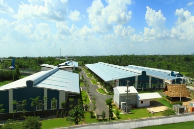 Kizuna: Tiên phong về giải pháp Nhà xưởng dịch vụ