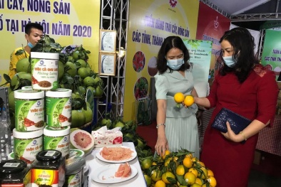 Trái cây, nông đặc sản của 15 địa phương tìm đầu ra tại thị trường Hà Nội