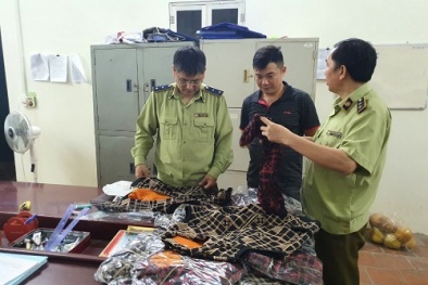 Vận chuyển hơn 200 chiếc áo giả mạo nhãn hiệu Louis Vuitton 