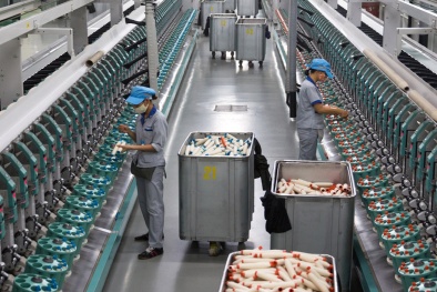 Tăng cường áp dụng tiêu chuẩn, quy chuẩn, nâng cao năng lực cạnh tranh ngành dệt may