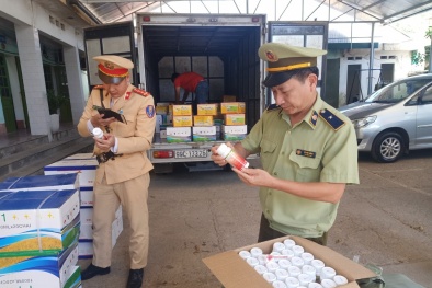 Lạng Sơn: Bắt giữ hàng chục nghìn sản phẩm thuốc bảo vệ thực vật nhập lậu 