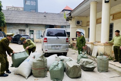 Nhập lậu nguyên liệu thuốc Bắc- nhiều thủ đoạn tinh vi gây khó trong quản lý chất lượng