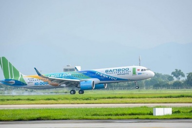 Xem xét cấp lại Giấy phép kinh doanh vận chuyển hàng không cho Bamboo Airways