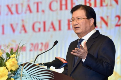 Phó Thủ tướng Trịnh Đình Dũng: Xử nghiêm vi phạm sử dụng gỗ nguyên liệu bất hợp pháp