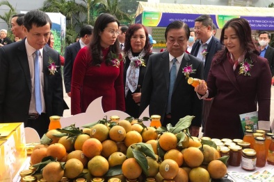 AgroViet 2020 quảng bá tiềm năng thế mạnh trong lĩnh vực nông nghiệp của các địa phương 