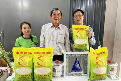 Gạo ST25 của Việt Nam tiếp tục đạt giải tại cuộc thi Gạo ngon nhất thế giới