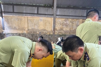 Hệ lụy từ kính râm kém chất lượng nhiều người vẫn vô tư dùng 