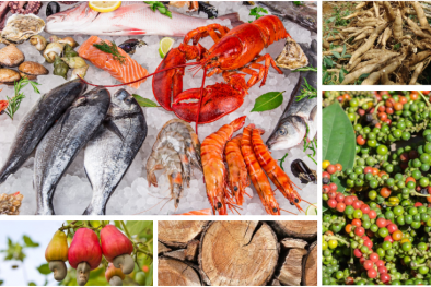 Đảm bảo mục tiêu xuất khẩu nông lâm thủy sản đạt 41 tỷ USD năm 2020