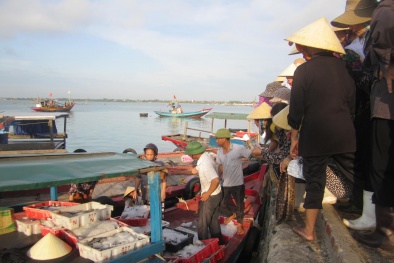 Gỡ thẻ vàng IUU - tăng cường giải pháp chống khai thác hải sản bất hợp pháp