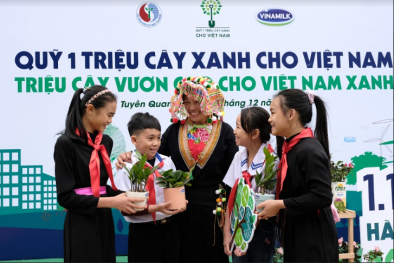 Vinamilk và Quỹ 1 triệu cây xanh cho Việt Nam được vinh danh top 10 hoạt động vì môi trường xuất sắc nhất – Giải CSR toàn cầu 2020