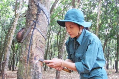 Áp dụng hệ thống quản lý chất lượng ISO 9001 mang lại hiệu quả thiết thực cho doanh nghiệp