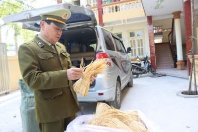 Dược liệu nhập lậu có dấu hiệu ẩm mốc tác hại không tưởng 