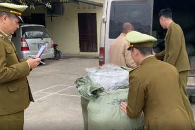 Liên tục phát hiện hành vi vận chuyển lậu số lượng 'khủng' hàng hóa 