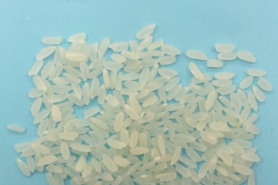 Bảo hộ chỉ dẫn địa lý cho sản phẩm gạo Ba Chăm Mang Yang