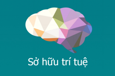 Hệ thống giải pháp nâng cao hiệu quả bảo vệ quyền sở hữu trí tuệ