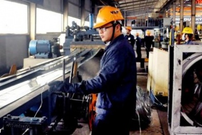 Áp dụng thành công ISO 9001:2015 - khẳng định vị thế doanh nghiệp trên thị trường