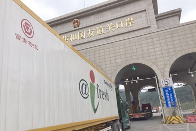 Trung Quốc kiểm nghiệm COVID-19 đối với thanh long và container lạnh nhập từ Việt Nam